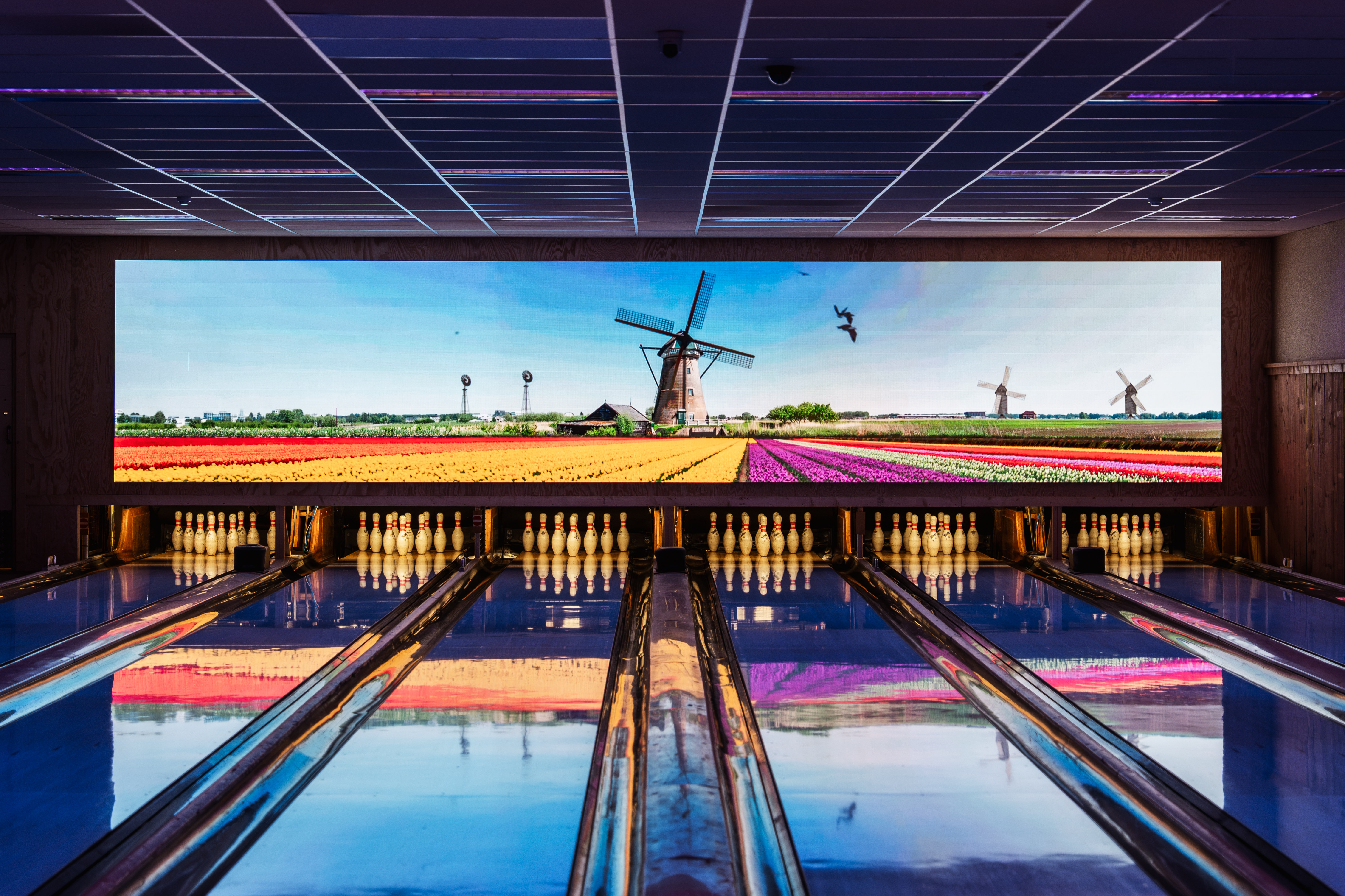 Marketing in Beeld